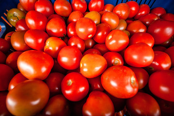 Productos del campo, frijol, maiz, alberja, papa, fresas, uchuba, cebolla de huevo, blanquillo, granos, piña, tomate, papaya, platano, guayaba, productos de COlombia y Antioquia