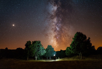 Man with headlamp at night standing between the trees with Milky Way above him