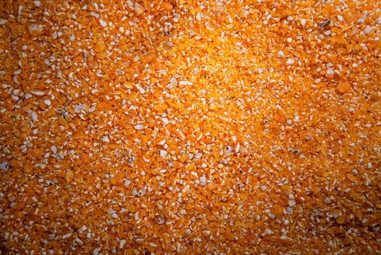 Productos del campo, frijol, maiz, alberja, papa, fresas, uchuba, cebolla de huevo, blanquillo, granos, pi&ntilde;a, tomate, papaya, platano, guayaba, productos de COlombia y Antioquia
