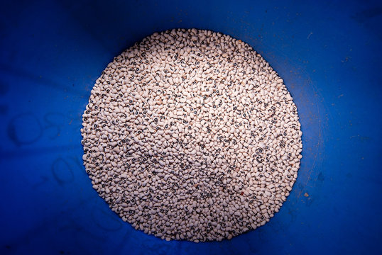 Productos del campo, frijol, maiz, alberja, papa, fresas, uchuba, cebolla de huevo, blanquillo, granos, pi&ntilde;a, tomate, papaya, platano, guayaba, productos de COlombia y Antioquia