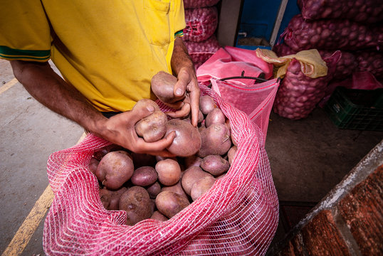 Productos del campo, frijol, maiz, alberja, papa, fresas, uchuba, cebolla de huevo, blanquillo, granos, pi&ntilde;a, tomate, papaya, platano, guayaba, productos de COlombia y Antioquia