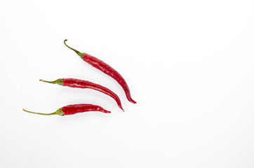 Red hot chili pepper isolated on the white background. Cayenne pepper close-up. Selective focus