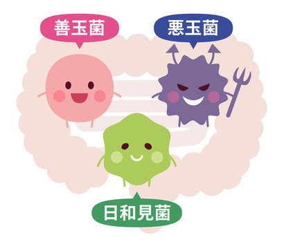 善玉菌」の写真素材 | 27,159件の無料イラスト画像 | Adobe Stock