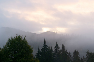 Mountains sunrise, fog, Bukovel, Carpathians.