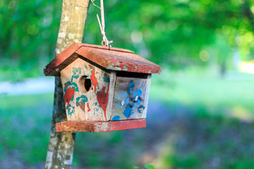 Small birdhouse in nature