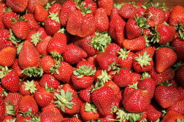 Strawberry basket - 308123825