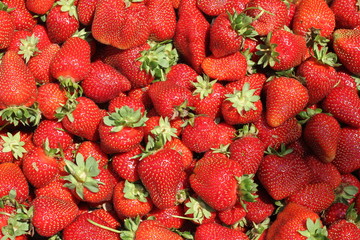 strawberry closeup - 308123877