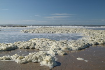 Sea foam on the beach in large quantity - wide angle - in Den Haag  , Holland