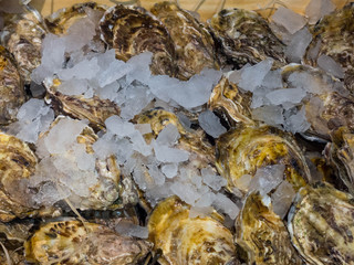 Plenty of fresh closed oysters on ice. Close up. Sea food.