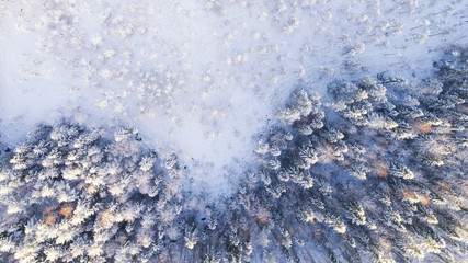 Beautiful background texture of a frozen forest at sunny winter day, aerial shot