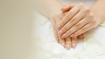 Beautiful hands with manicure. Nail care concept.