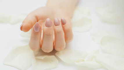 Beautiful hands with manicure. Nail care concept.