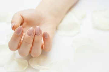 Beautiful hands with manicure. Nail care concept.