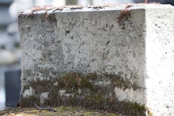 Cimetière Montparnasse