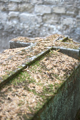 Cimetière Montparnasse