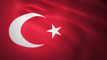 Fluttering flag of Turkey on the wind. 3d illustration