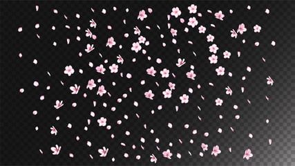 Nice Sakura Blossom Isolated Vector. Summer Flying 3d Petals Wedding Frame. Japanese Style Flowers Illustration. Valentine, Mother's Day Summer Nice Sakura Blossom Isolated on Black