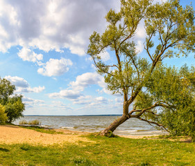 Fototapeta na wymiar Windy day on the beach at Zaslavsky reservoir.