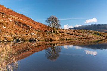 Panoramic views of Llyn y Dywarchen, and Snowdon in the Snowdonia National Park, Wales.