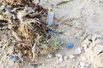 plastic wires wrapped between the seaweed on the beach of Katwijk, the Netherlands