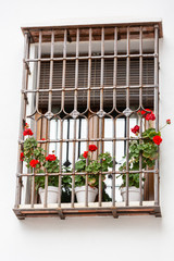Fototapeta na wymiar Red flowers in pots in window Andalusia