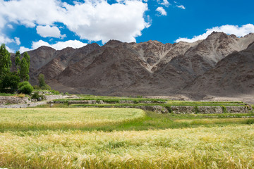 Ladakh, India - Aug 20 2019 - Beautiful scenic view from Likir Village in Ladakh, Jammu and...