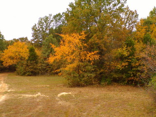 Fall Day in Oklahoma