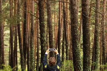A young woman with brown hair taking picture of trees in the forest with her smartphone, wide shot