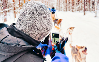 Woman taking photo of Husky dog sled in Finland in Lapland in winter. Rovaniemi. Lady in Norway. Girl at Animal on Finnish farm, Christmas. Sleigh. Safari on sledge with landscape