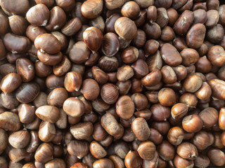 closeup of chestnuts in market