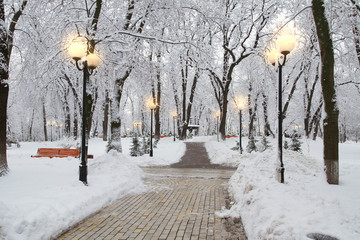 Snow covered trees in park illuminated by street lighting
