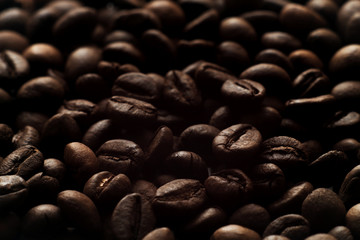 coffee arabca macro
