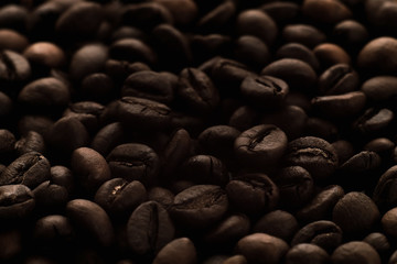 coffee arabca macro