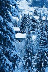 Fototapeta na wymiar The Alpine Landscape toned in blue monochrome color