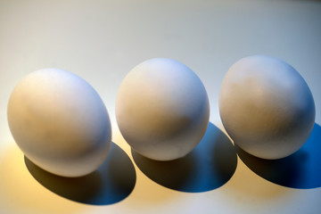 eggs on white background, sweden, stockholm, nacka, europe