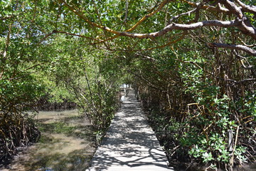 Obraz premium trancoso