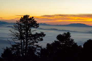 Fototapeta premium amanecer