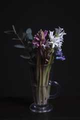 Close-up of hyacinths and eucalyptus branch in a glass cup on a dark background, selective focus