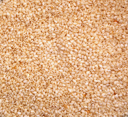 White sesame seeds background