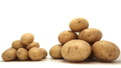 Young white potato, top view. Isolated potatoes on a white background.  Fresh food for vegetarians. Raw vegetable, root vegetable. Photo harvesting potatoes for a designer.