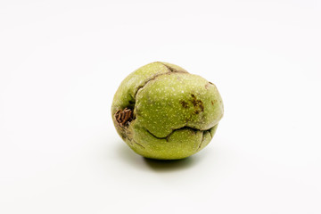 Close up shot of a raw wallnut with green shell.