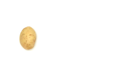 Fototapeta premium Young white potato, top view. Isolated potatoes on a white background. Fresh food for vegetarians. Raw vegetable, root vegetable. Photo harvesting potatoes for a designer.