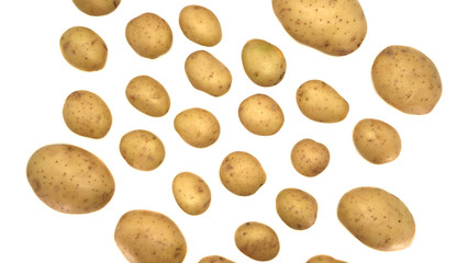 Young white potato, top view. Isolated potatoes on a white background.  Fresh food for vegetarians. Raw vegetable, root vegetable. Photo harvesting potatoes for a designer.