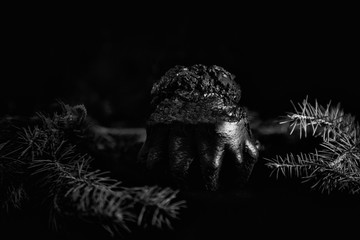 black and white still life, made of cake and pine branches, in the Christmas style