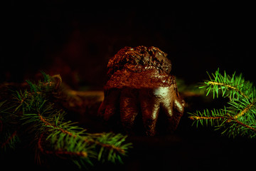 chocolate cupcake for Christmas decorated with Rowan and pine branches, with lights, handmade