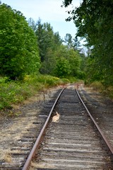 Fototapeta premium Rabbit on a train track