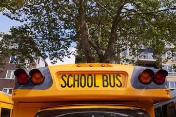 One of the most characteristic cars in the world. American school bus.