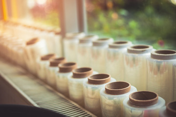 Plastic foil big packaging rolls