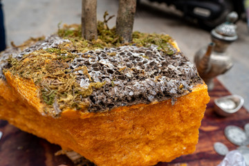 Dried up bees  hive honey in the Chinese Market of Xingping south of China 