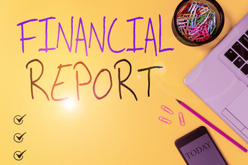 Text sign showing Financial Report. Business photo showcasing formal records of the financial activities of a business Slim trendy laptop pencil smartphone clips container colored background